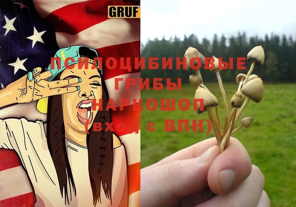 стаф Волосово
