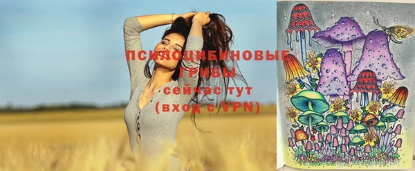 сатива Володарск