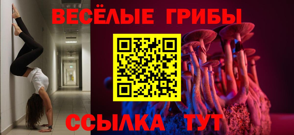 Славянск-на-Кубани  Псилоцибиновые грибы GOLDEN TEACHER  Вход с VPN 
